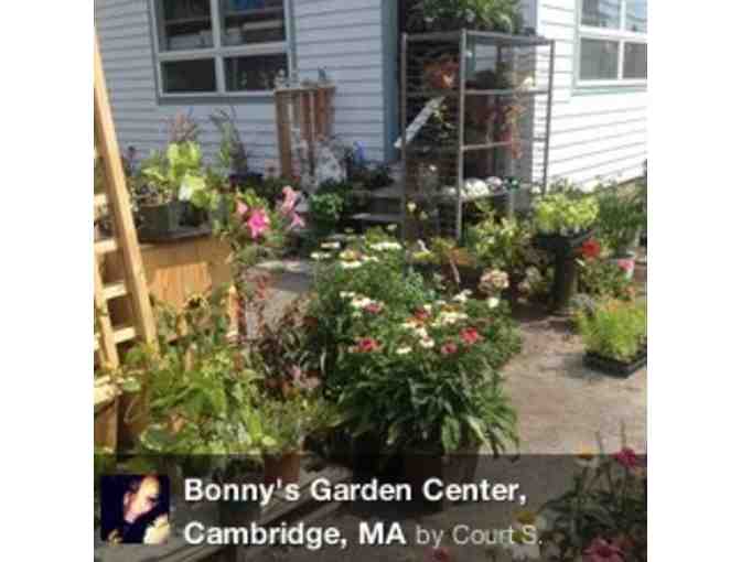 Bonny's Garden $25 Gift Certificate