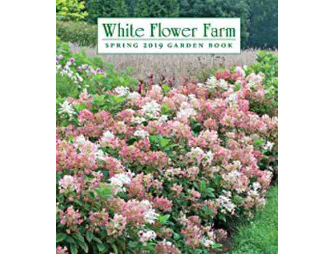 White Flower Farm, $75 gift certificate