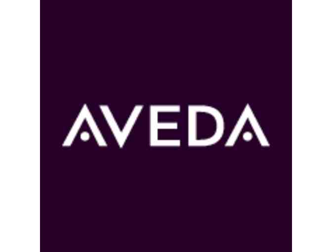 Aveda Spa Massage at Pyara Salon in Harvard Square