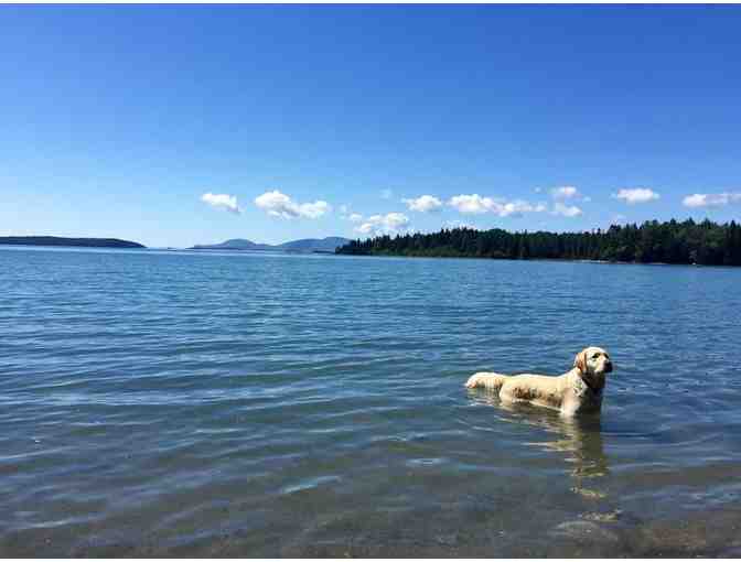 One week waterfront rental in Gouldsboro Maine