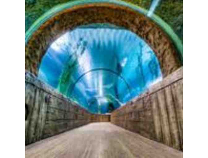 Nickelodeon Universe 2 Unlimited Ride Wristbands and 4 tickets to SEALIFE Aquarium