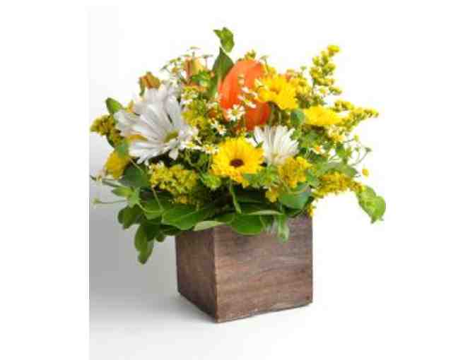 Bachmans Floral and Gifts $150 gift card - Photo 1
