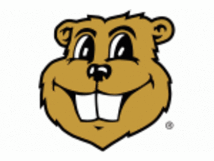 4- Gophers vs University of Maryland Football tickets , October 26