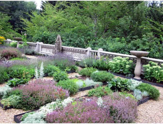 A Private Guided Afternoon Historic Garden Tour & Tea for up to 6 people!