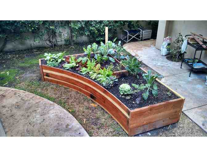 Organic Vegetable Garden from Yard to Table LA