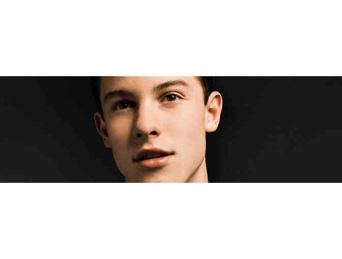 2 Tickets to Shawn Mendes at the Greek Theatre on 8/16/15