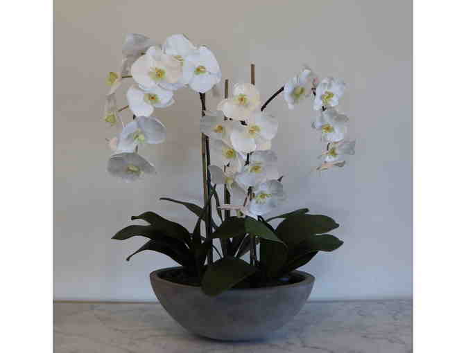 Silk Orchid Arrangement from Aldik Home