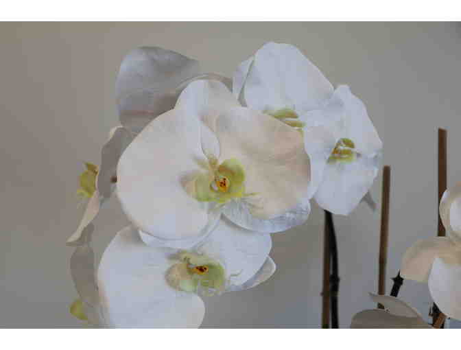 Silk Orchid Arrangement from Aldik Home