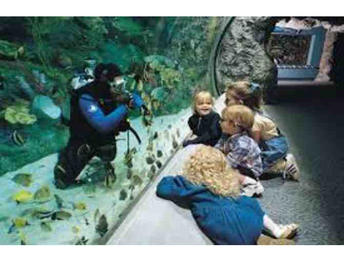 6 Tickets to Aquarium of the Pacific - Expires May 15, 2019