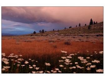 Vacation in Mammoth!