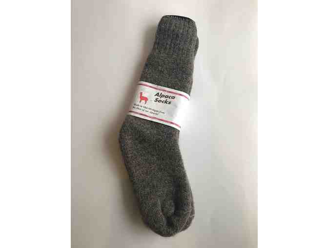 Alpaca Socks, made in Mid-Michigan Size 9-11