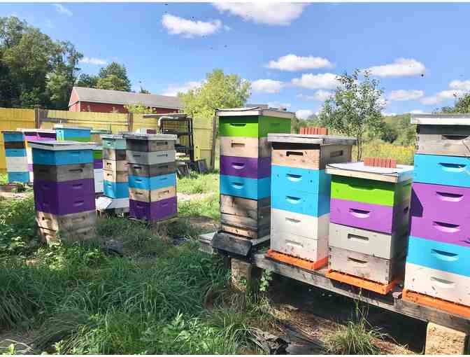 Intro to Bee Keeping & Apitherapy by Beekeeper Cecilia Infante at the Bee's Knee Apiary