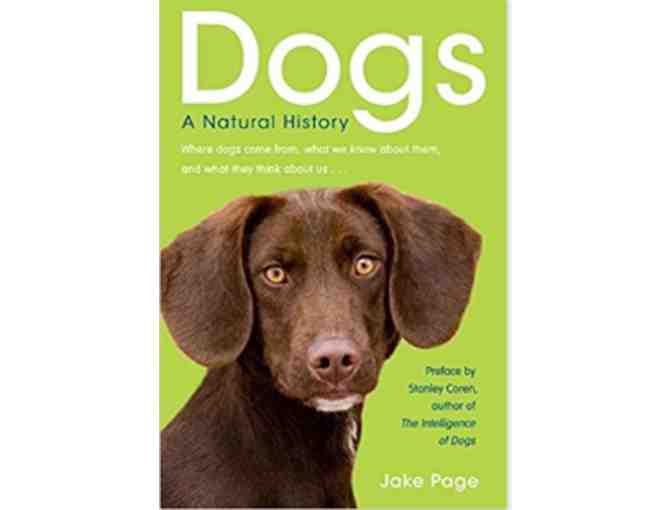Three Dog Books
