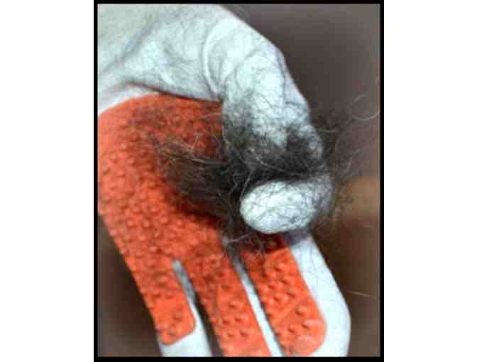 Grooming Hands Gloves for Horses and Dogs