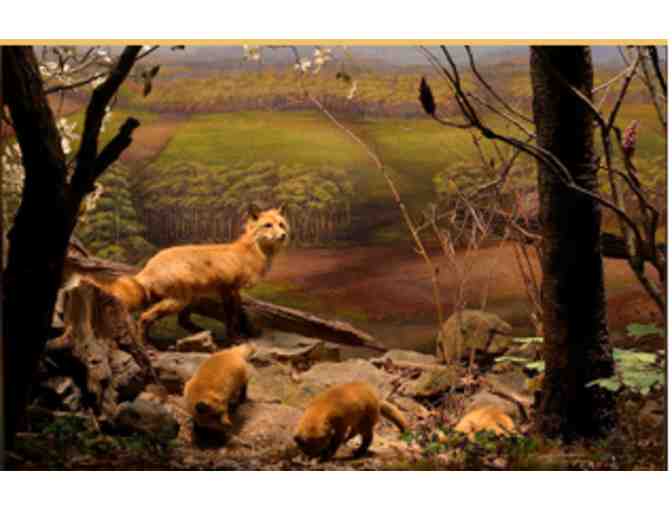 Admissions to PA State Museum in Harrisburg