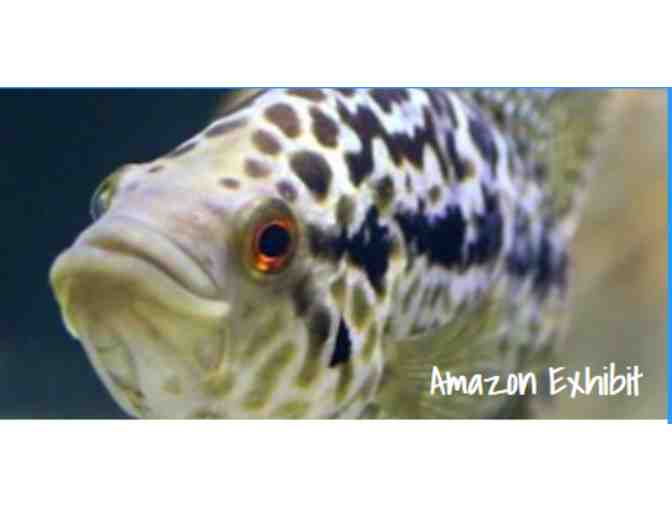 Aquarium of Boise Idaho