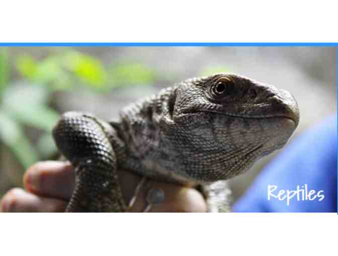 Aquarium of Boise Idaho