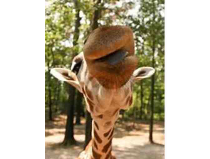 Birmingham Zoo - Birmingham AL