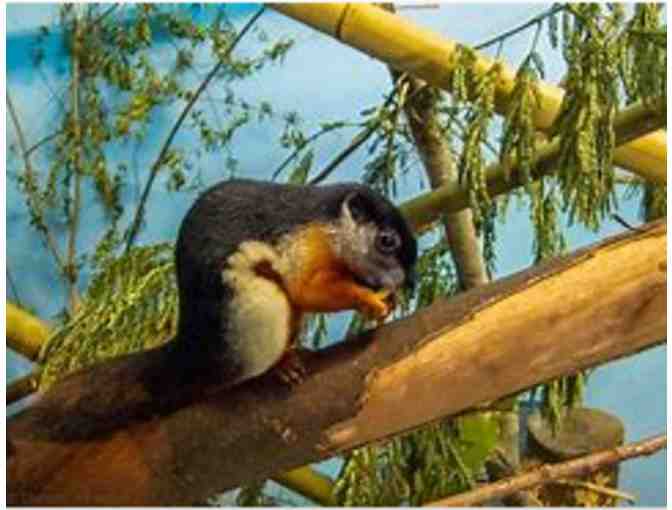 Birmingham Zoo - Birmingham AL