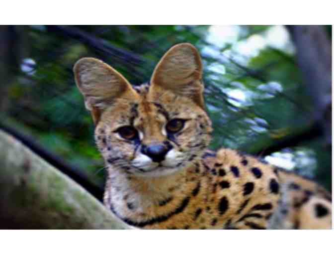 Brandywine Zoo - Wilmington DE