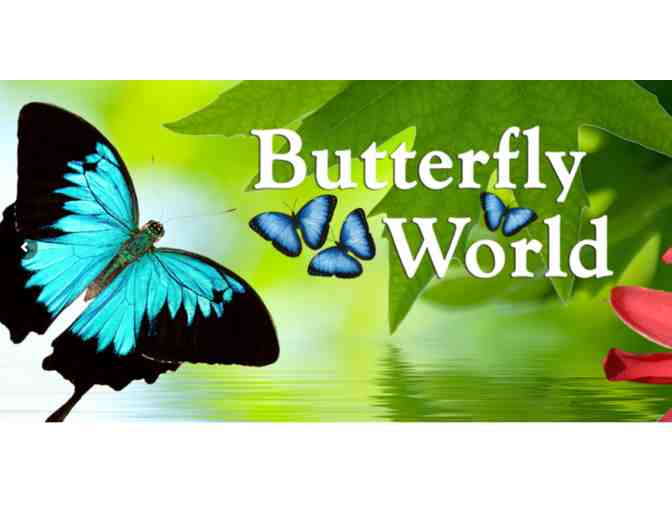 Butterfly World -  Coconut Creek FL
