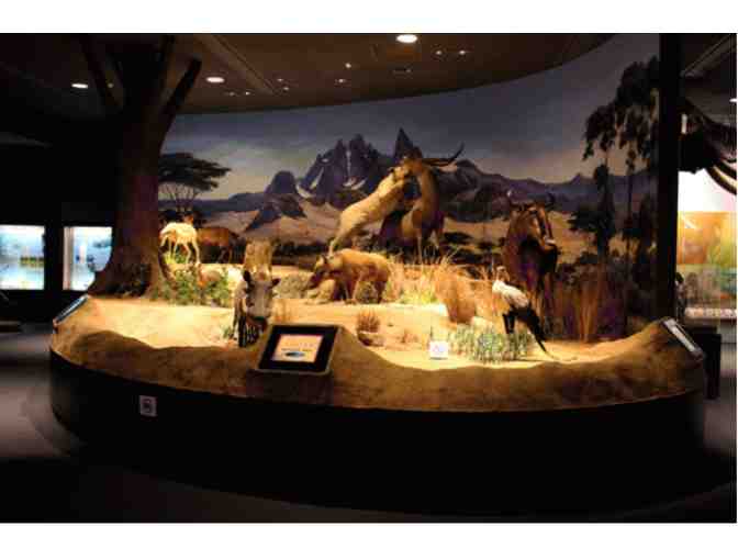 Delaware Museum of Natural History - Wilmington DE