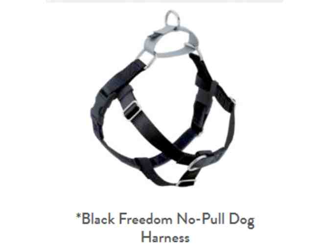 Dog Collar, Training Leash, and No-Pull Harness from 2 Hounds