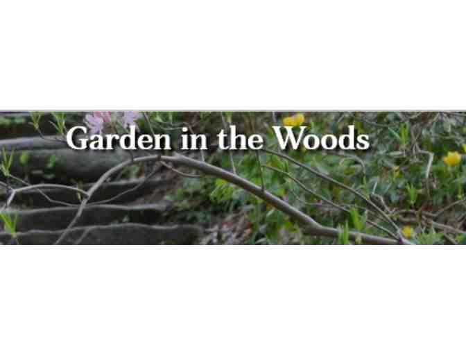 Garden in the Woods - Framington, MA