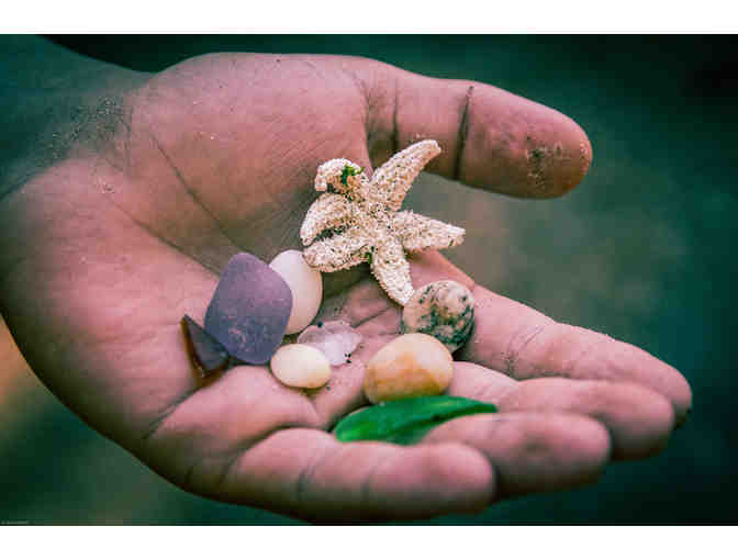 Limited Edition Scott Minard Signed and Numbered Nor'wester Prints