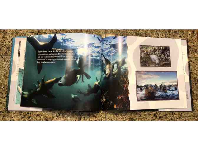 Book for Young Readers (K-grade 3): 'The Seal Garden'