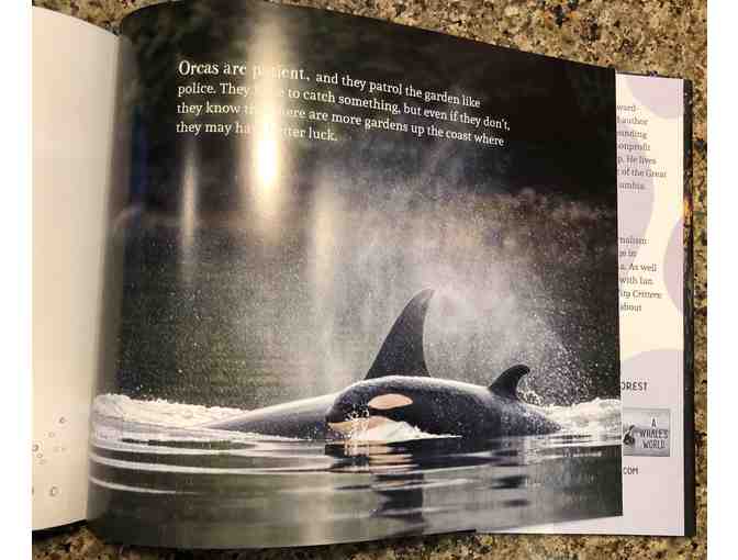 Book for Young Readers (K-grade 3): 'The Seal Garden'