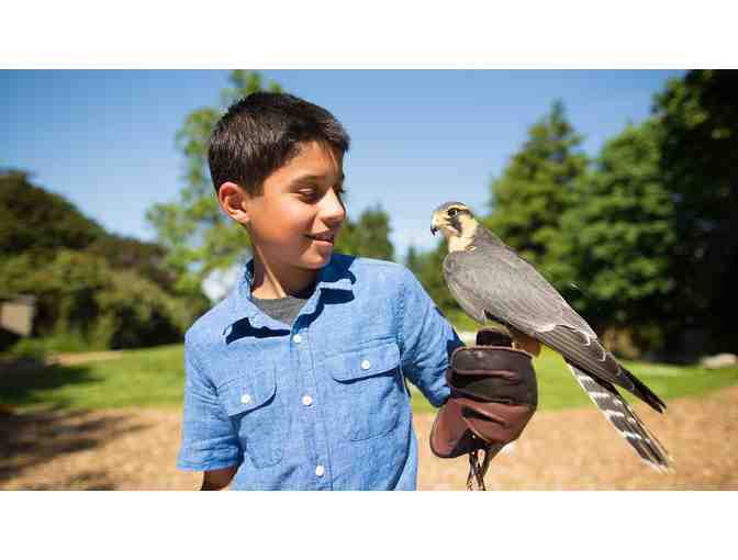 Four (4) Woodland Park Zoo Day Passes