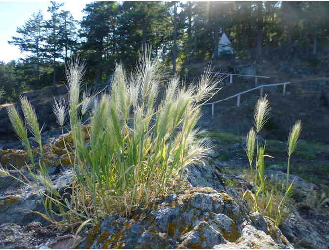 Two Nights Stay at 'Little Camp'