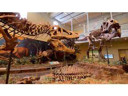 Carnegie Museums Membership