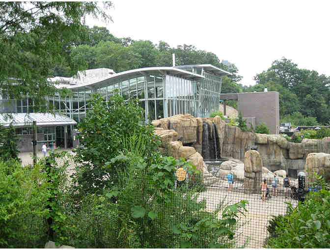 Get Up Close to the Animals