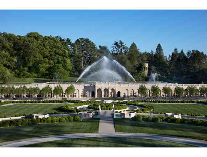 Take Me to the Garden