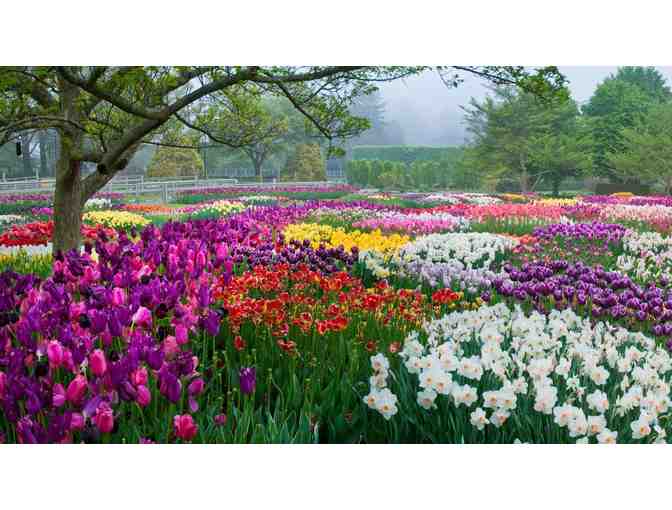 Take Me to the Garden