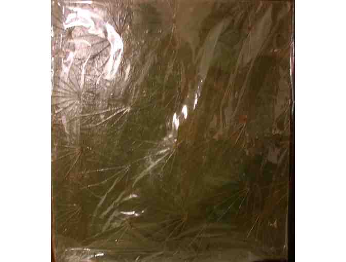 Natural Dry Leaves Album