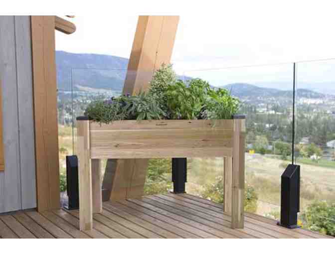 Elevated Cedar Planter