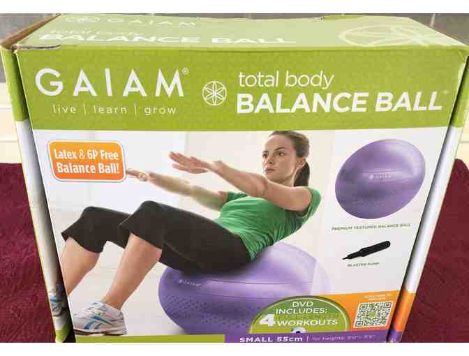 Gaiam Total Body Balance Ball Kit