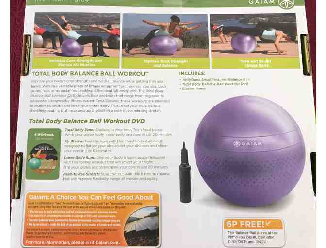 Gaiam Total Body Balance Ball Kit