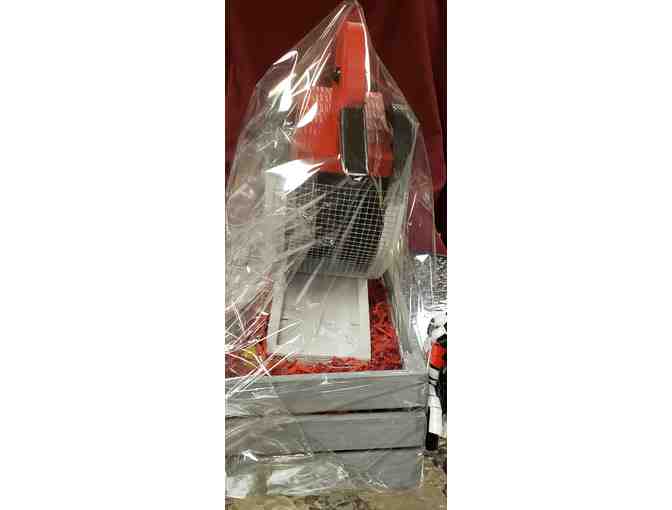 This is for the Birds!