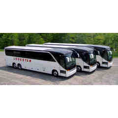 Lodestar Bus Lines and Tours