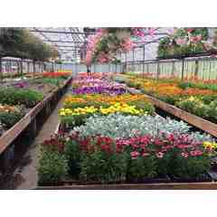 Knapp's Floral and Greenhouse