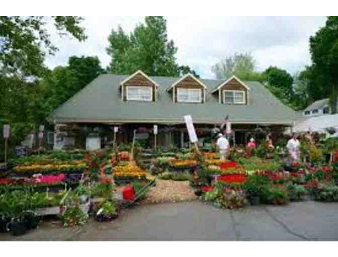 Springdale Florist and Greenhouses $100 Gift Certificate