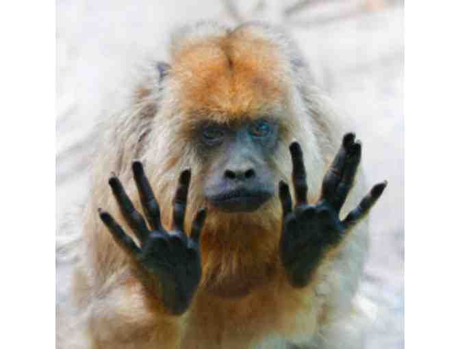 Get in Touch with Your Inner Animal at Connecticut's Beardsley Zoo