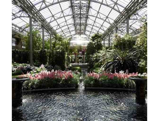 Serene Beauty at Longwood Gardens