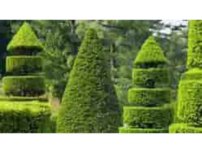 Serene Beauty at Longwood Gardens