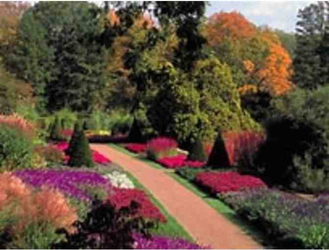 Serene Beauty at Longwood Gardens