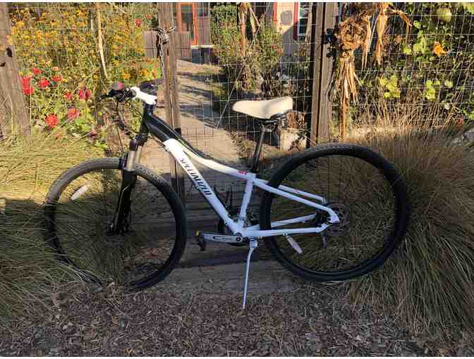 Woman's Specialized 'Ariel' Mountain Bike